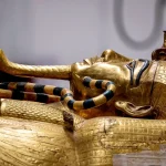 Gallery Thumbnail 18