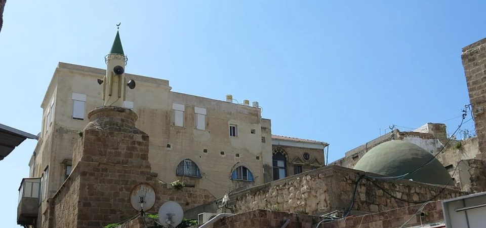 Rosetta Day Tour from Alexandria