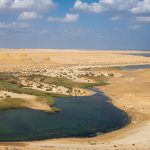 Gallery Thumbnail 17