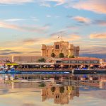 Gallery Thumbnail 11