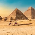 Gallery Thumbnail 11