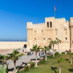 Gallery Thumbnail 36