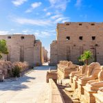 Gallery Thumbnail 23