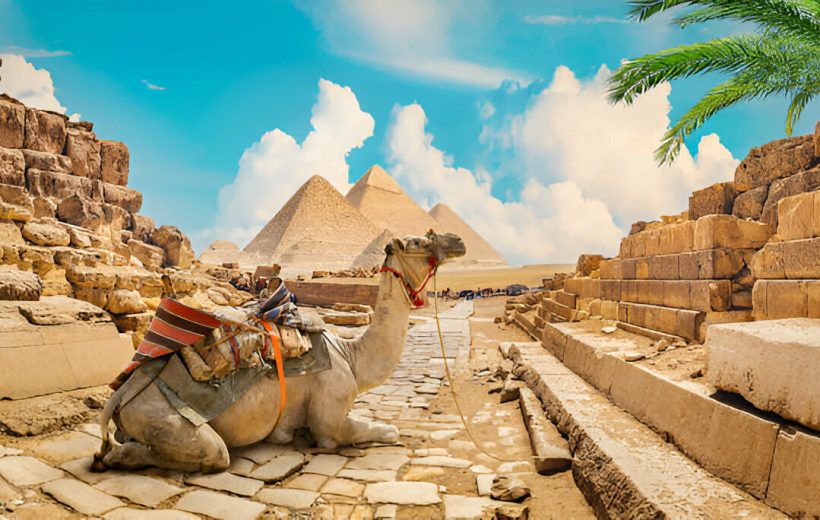 Half Day Pyramids Tour in Cairo