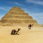 Gallery Thumbnail 13