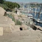 Gallery Thumbnail 7