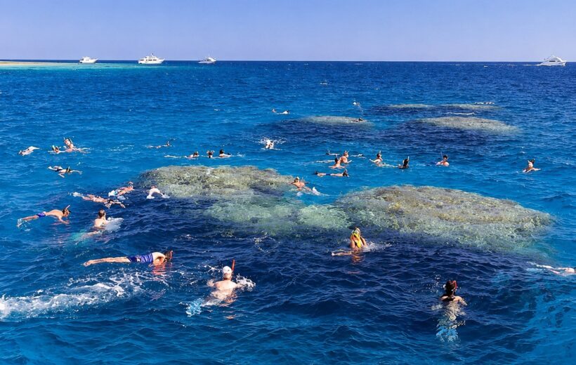 Giftun Island Snorkeling Tour in Hurghada | Best Red Sea Adventure 2026