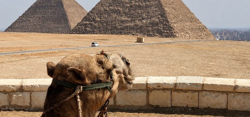 Pyramids and Egyptian Museum Tour