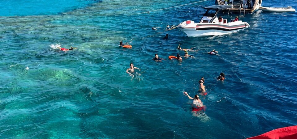 Red Sea Tour Egypt