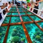 Gallery Thumbnail 1