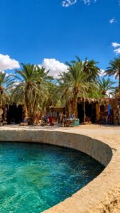Siwa Oasis Safari Tour