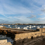 Gallery Thumbnail 2