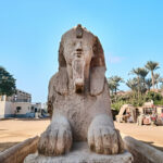 Gallery Thumbnail 4