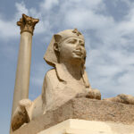 Gallery Thumbnail 6
