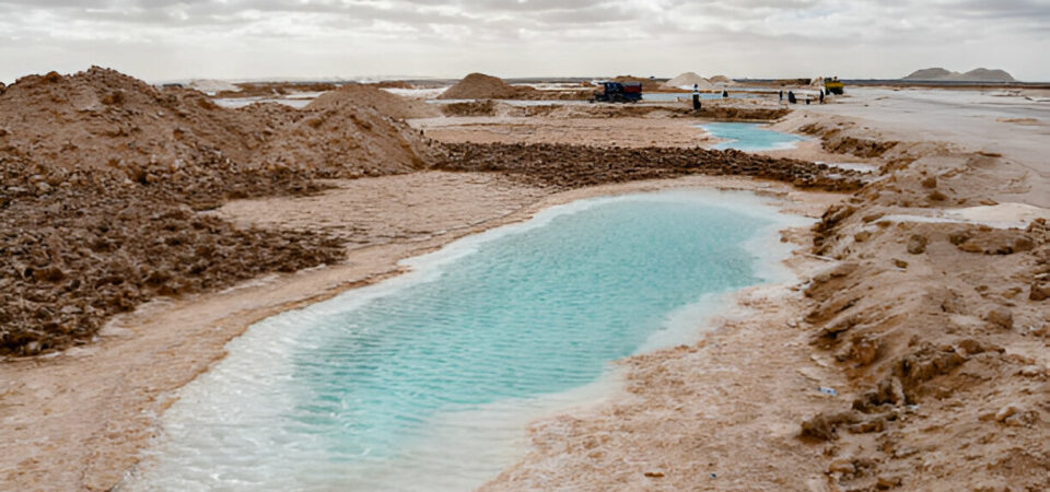 Cairo and Siwa Desert