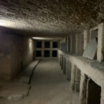 Gallery Thumbnail 9
