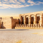 Gallery Thumbnail 7