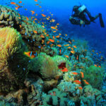 Gallery Thumbnail 2