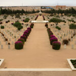 Gallery Thumbnail 1