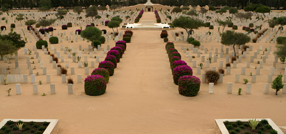 El Alamein Tour