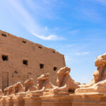 Gallery Thumbnail 9