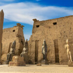 Gallery Thumbnail 5