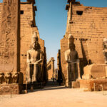 Gallery Thumbnail 9