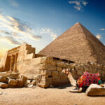 Gallery Thumbnail 1