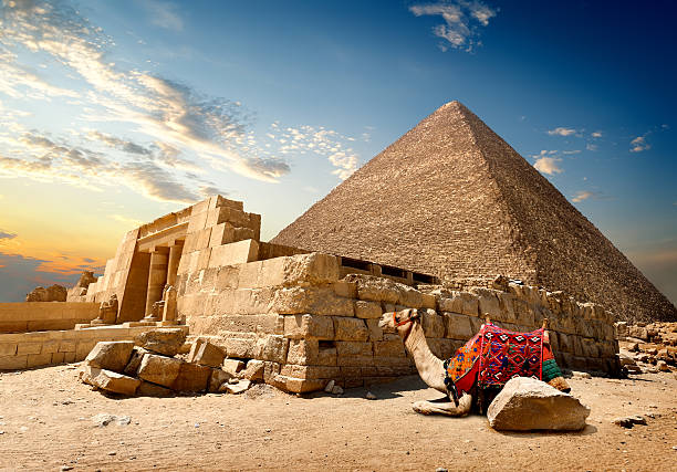 Marsa Alam to Cairo