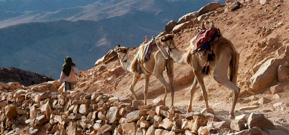 Mount Sinai and St Catherine