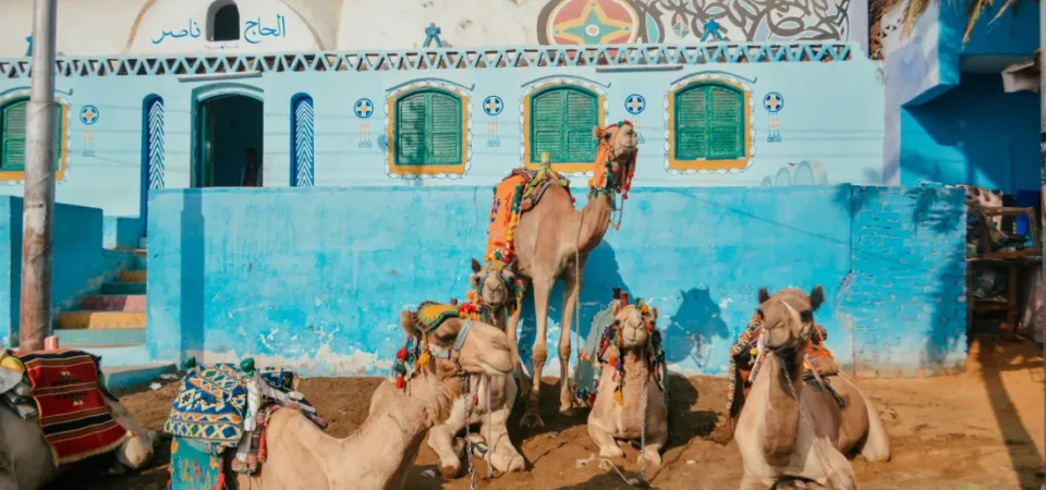 Nubian Village Tour