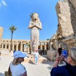 Gallery Thumbnail 7