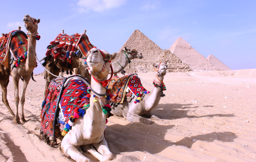 Overnight Trip to Cairo and Luxor from Sharm by Flight | 2-Day Amazing Adventure