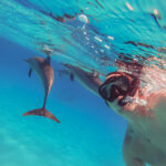 Gallery Thumbnail 5