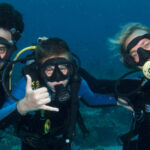 Gallery Thumbnail 2