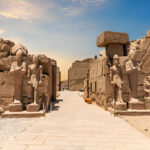 Gallery Thumbnail 9