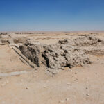 Gallery Thumbnail 0