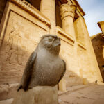 Gallery Thumbnail 0
