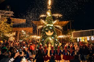 Christmas in Cairo